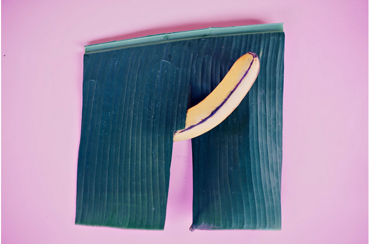 penis reperesentaton